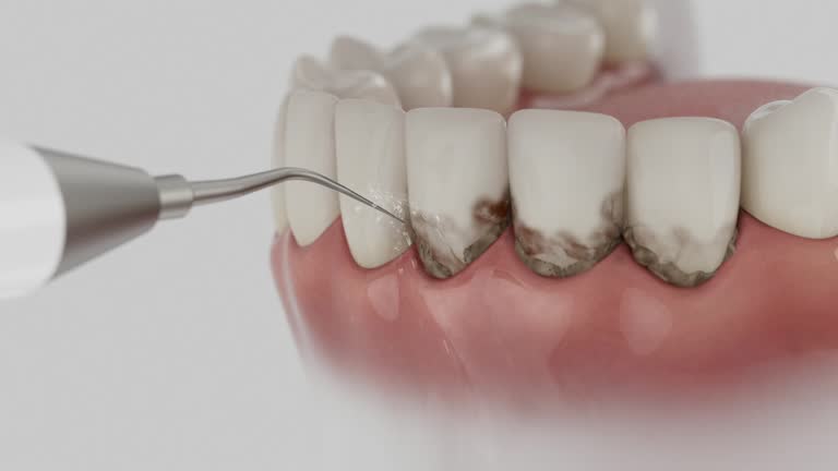 Reliable Dental contractor in Ithaca, MI by Dentist Open Now